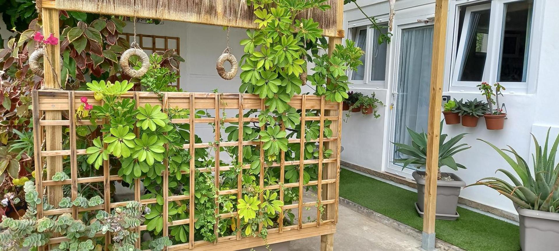 Apartment mit 1 Schlafzimmer