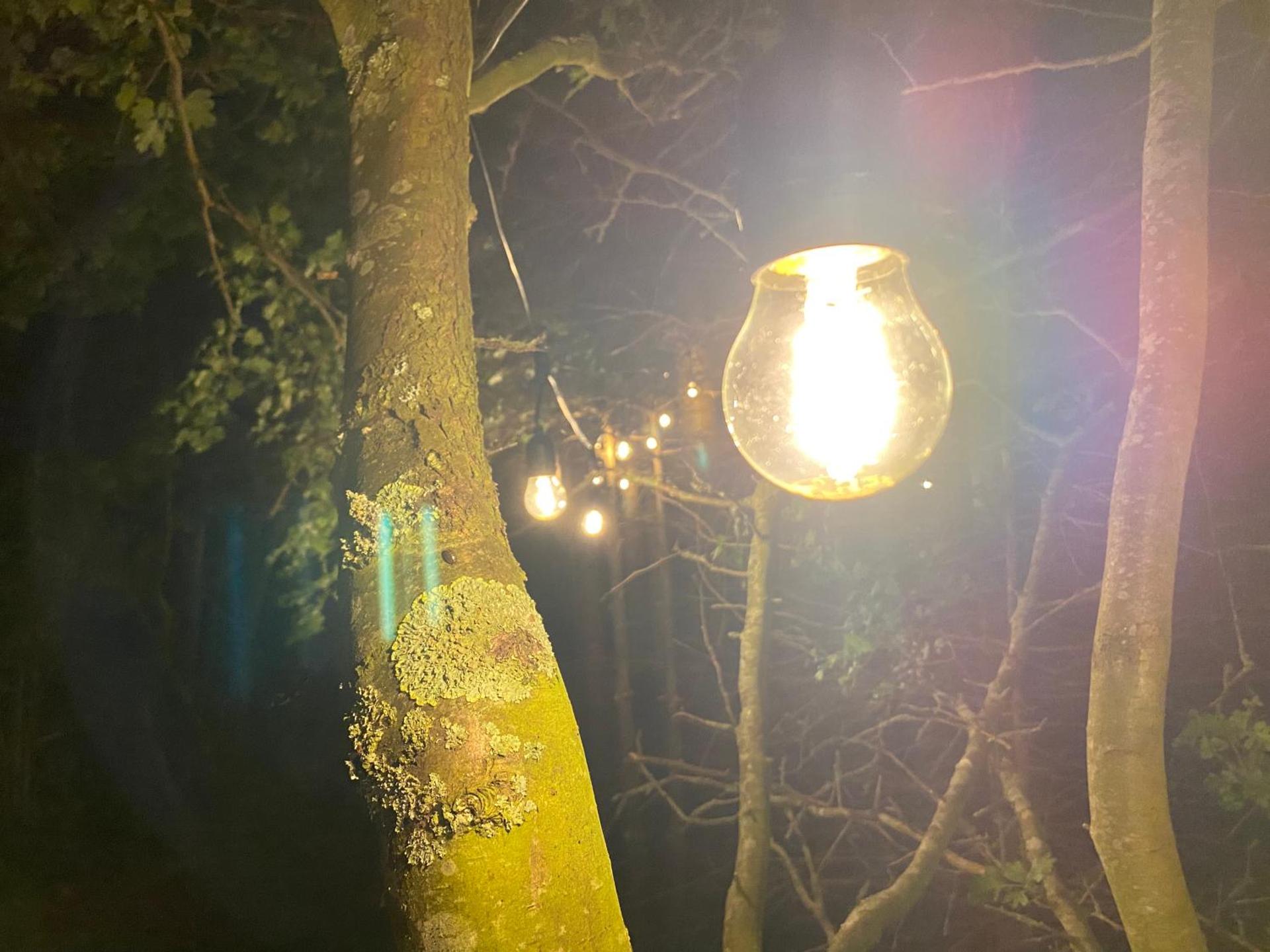 Cirkusvognen på Ærø