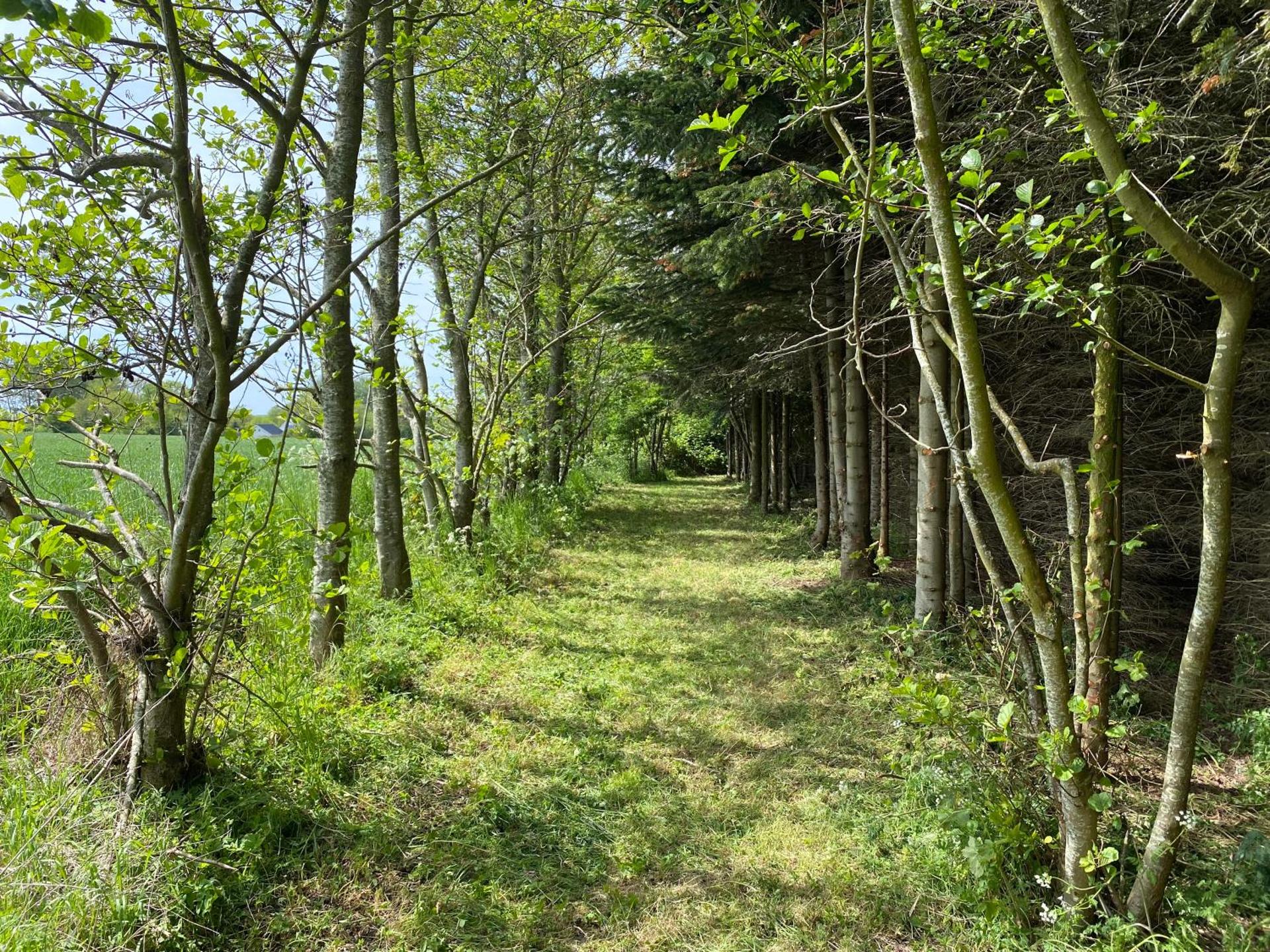 Cirkusvognen på Ærø