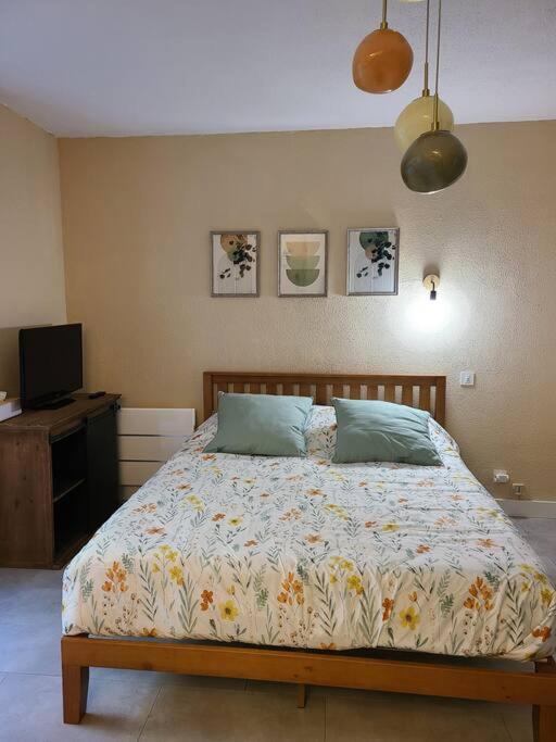 Joli studio rénové situé au pied des thermes