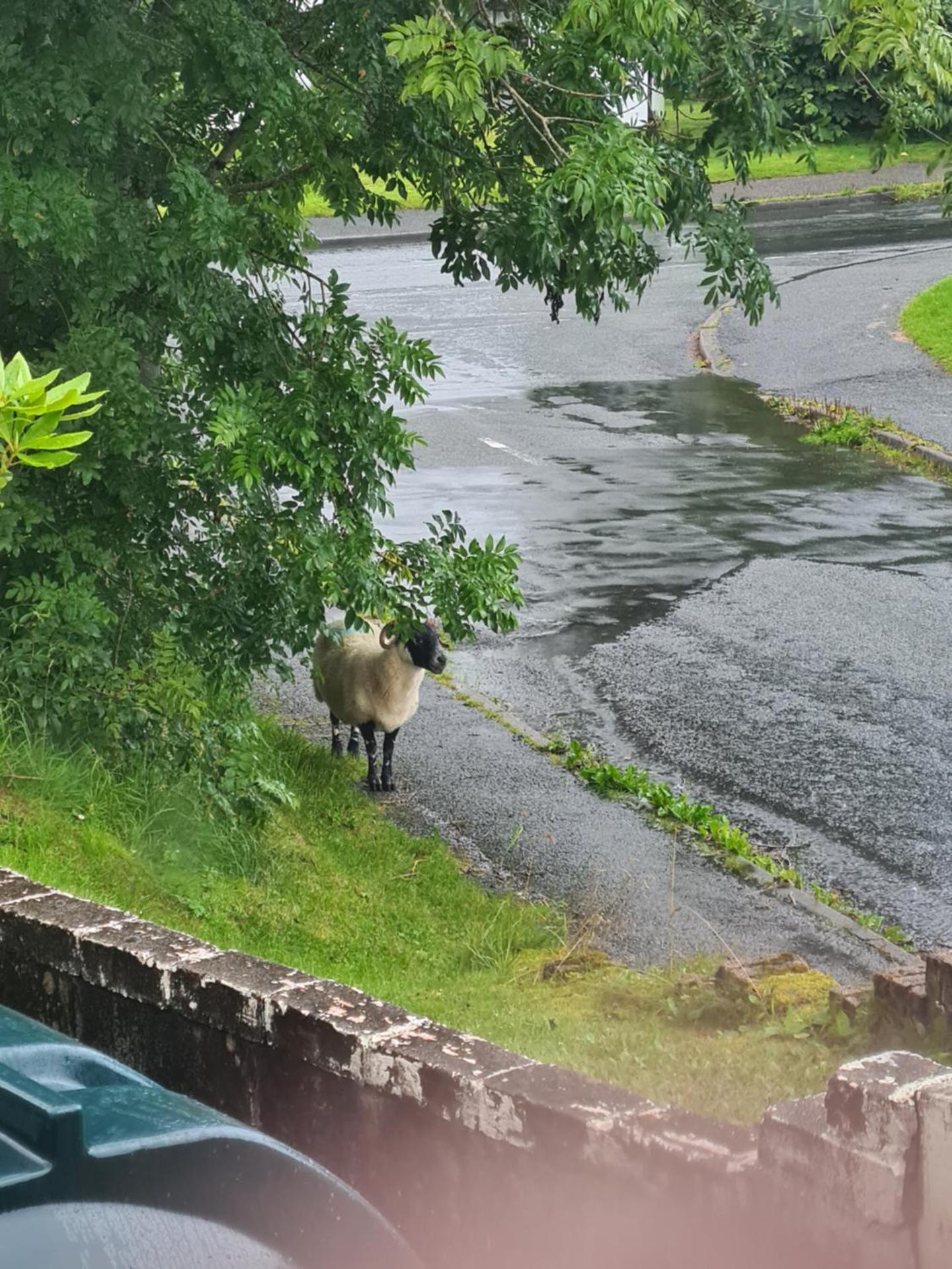 Hillend Self-Catering