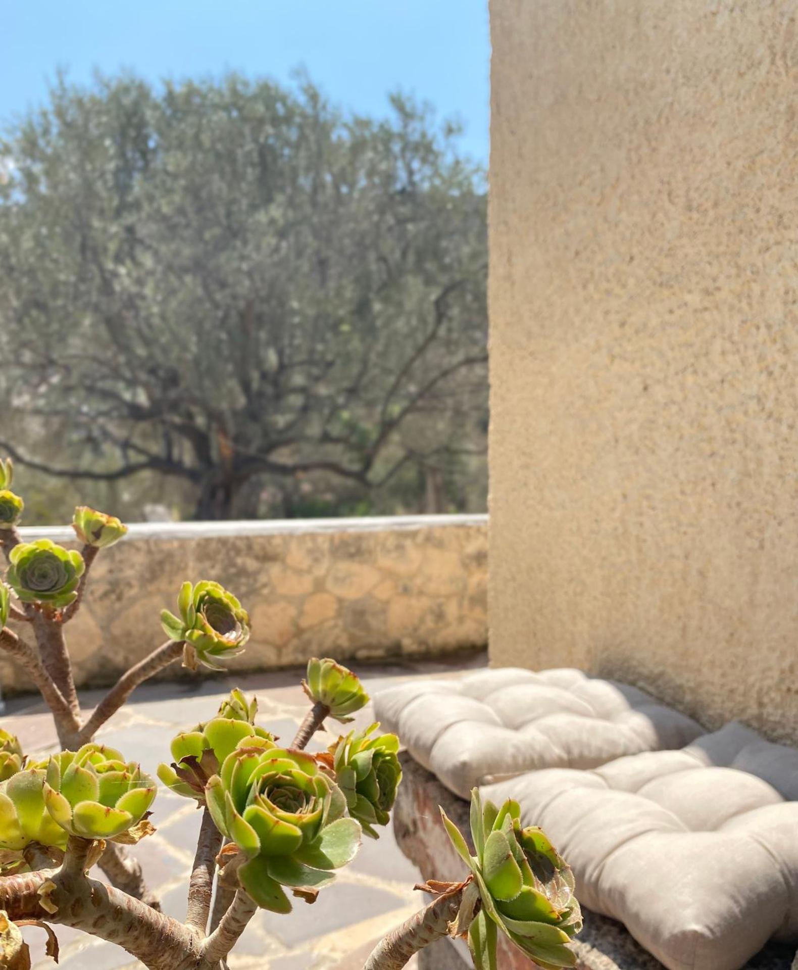 Kontos Village House