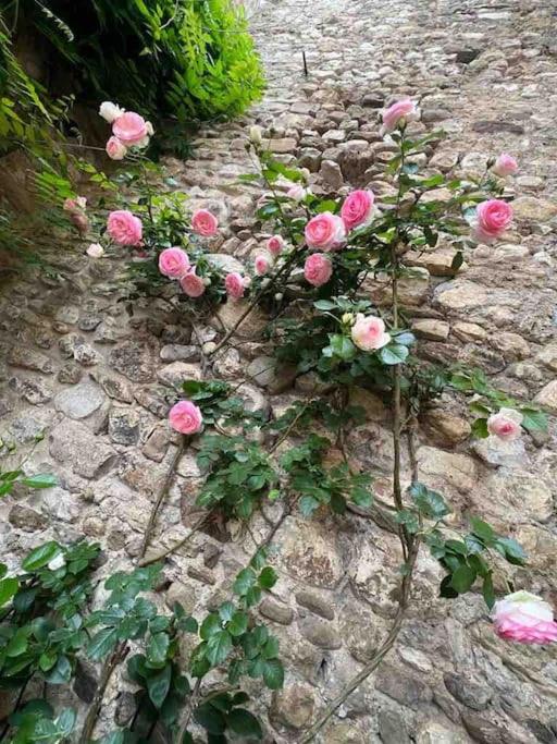 casatorre medioevale