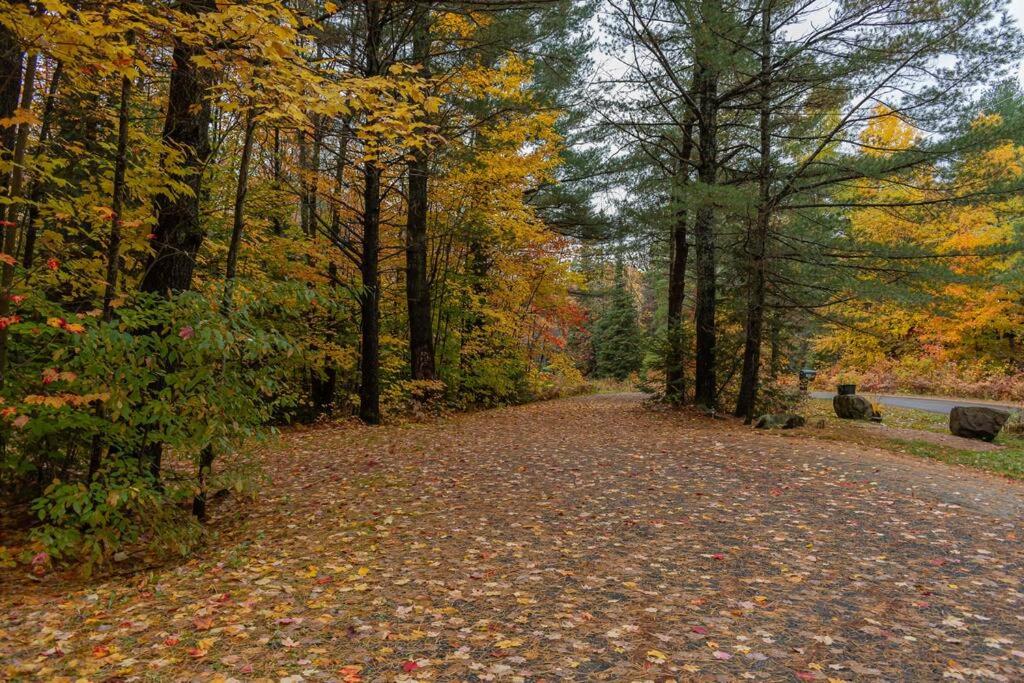 The Doma Lodge - Cozy Muskoka Cabin in the Woods