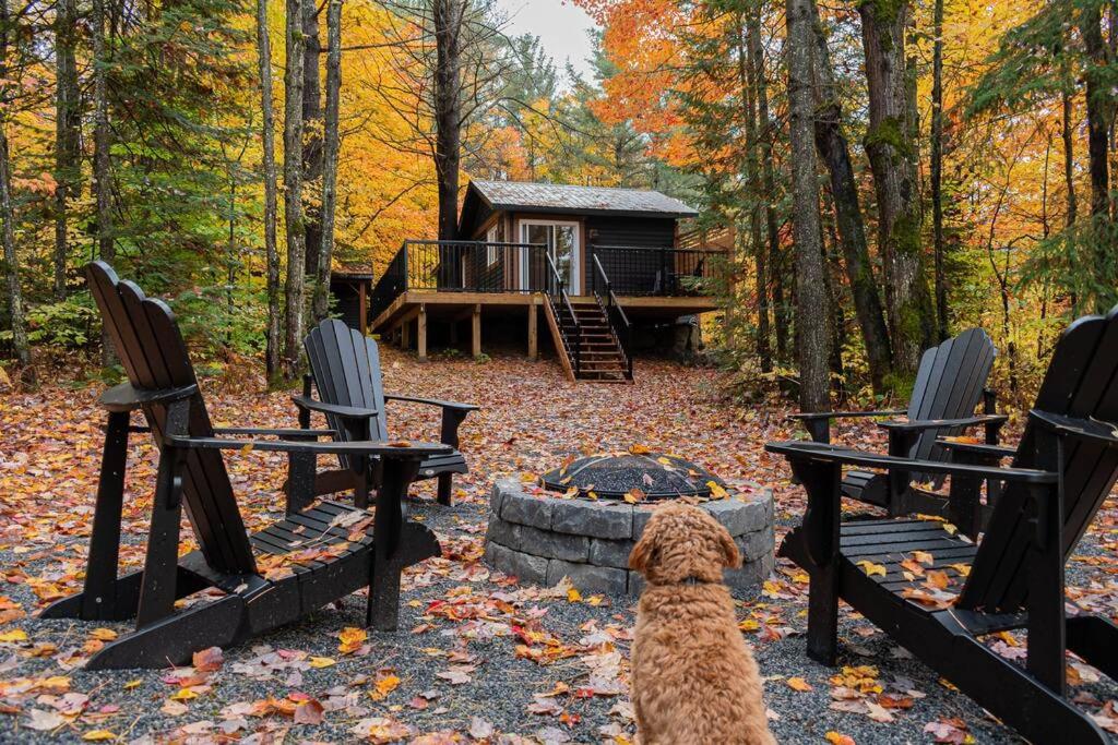 The Doma Lodge - Cozy Muskoka Cabin in the Woods