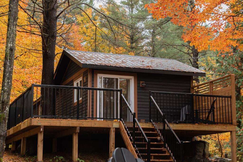 The Doma Lodge - Cozy Muskoka Cabin in the Woods