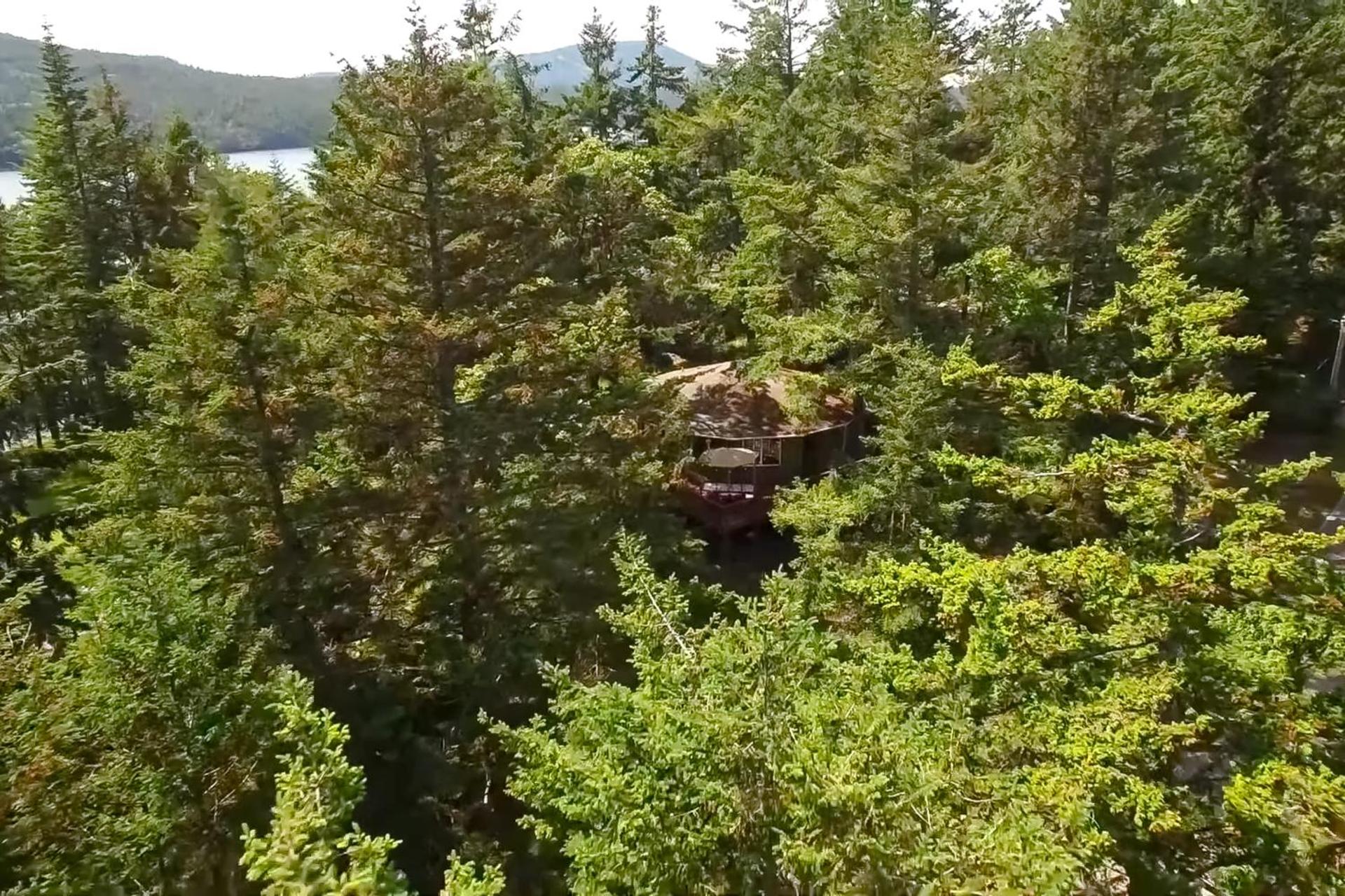 The Island Treehouse