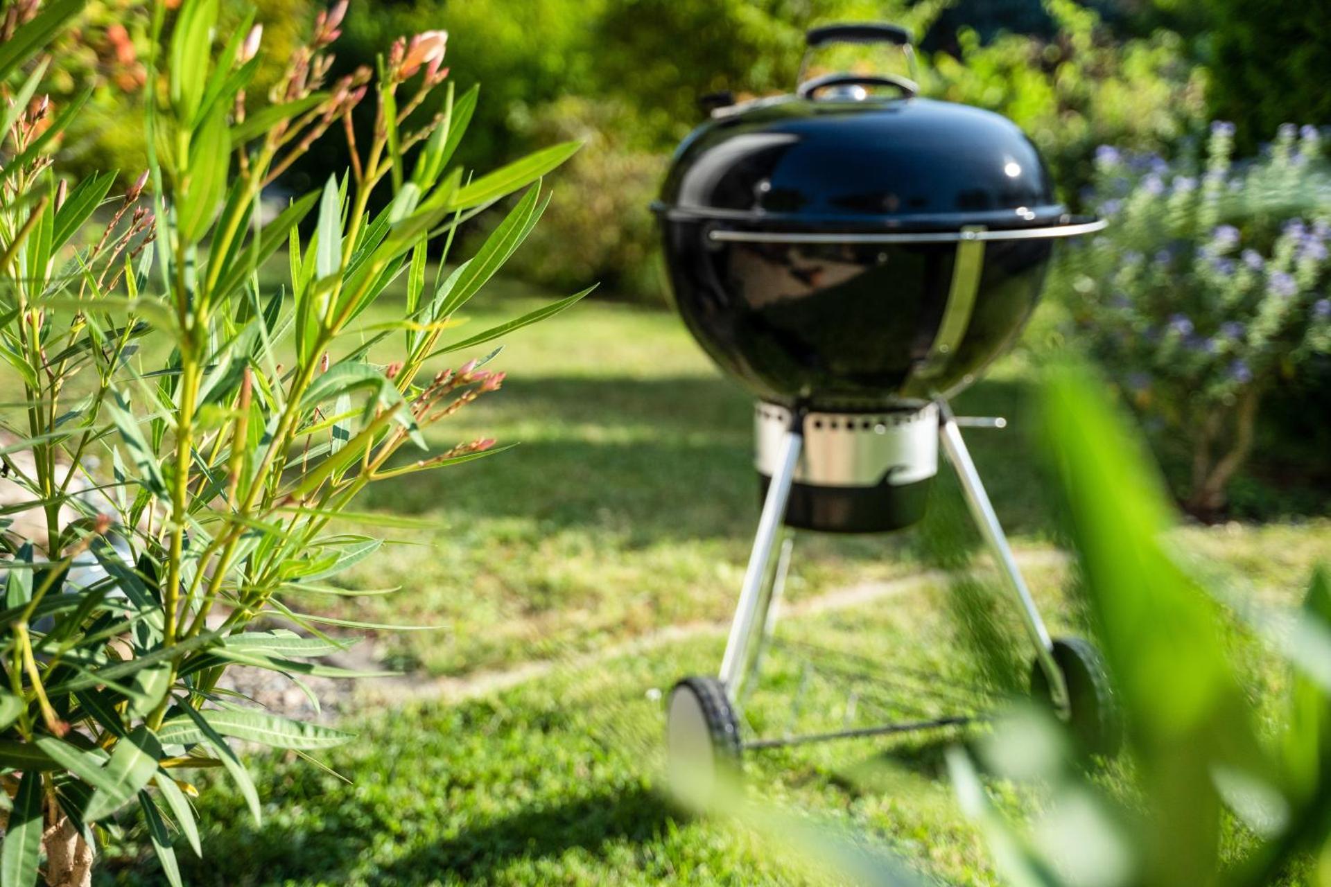 Ferienwohnung Kuckucksnest