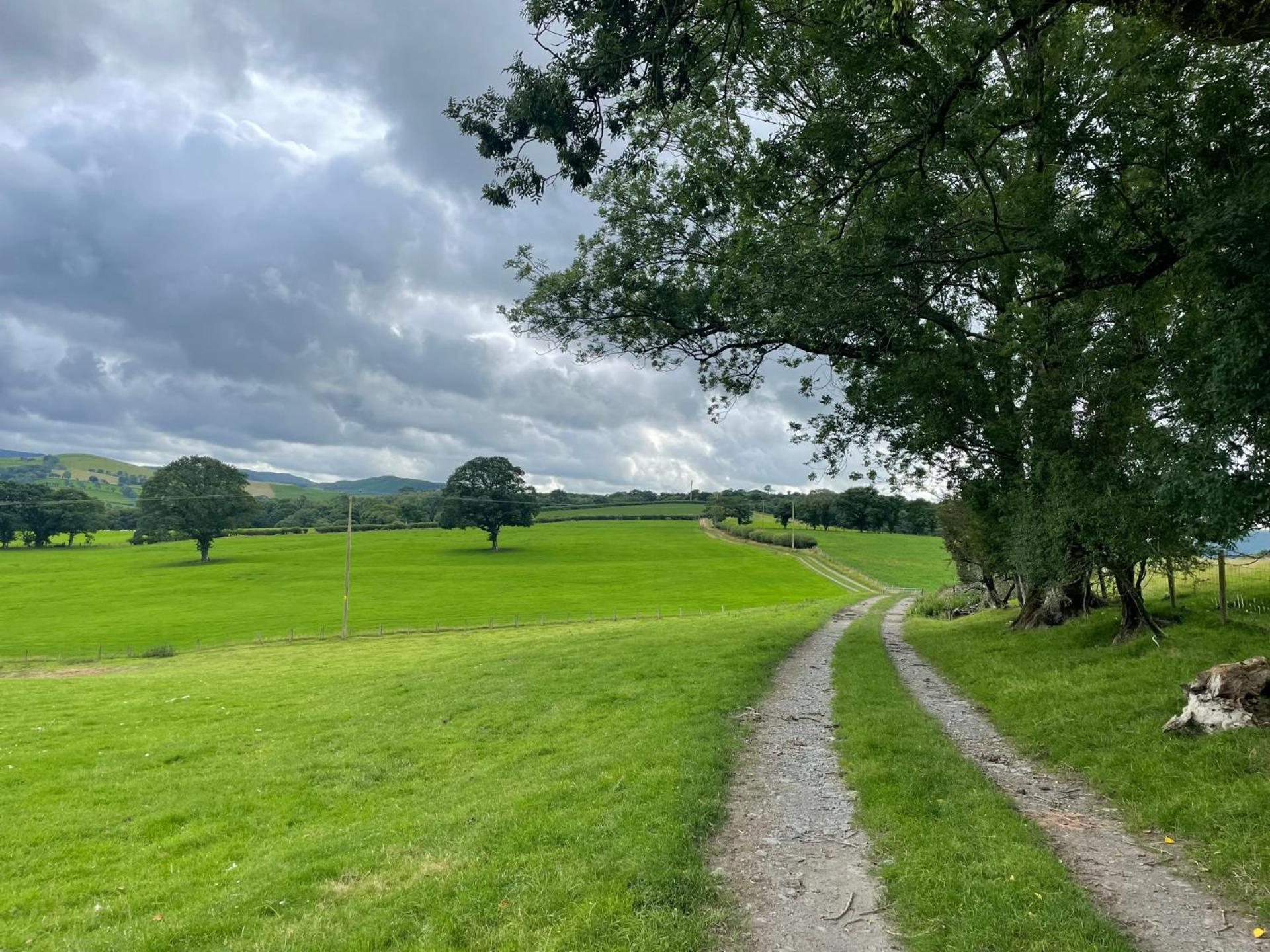 Pwllglas Bach - Spacious Cabin
