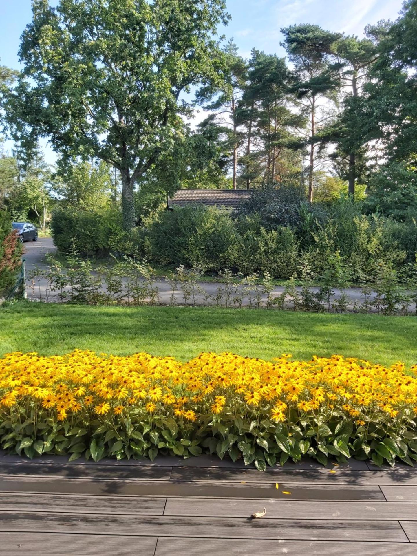 Chalet Little Cocoon