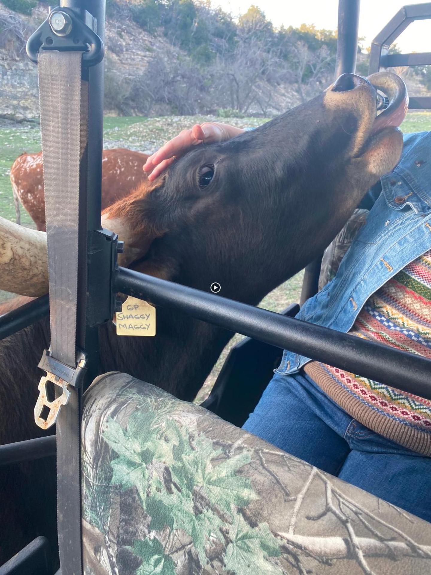 Evening entertainment