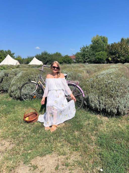 Grădina Magică a Lavandei Glamping