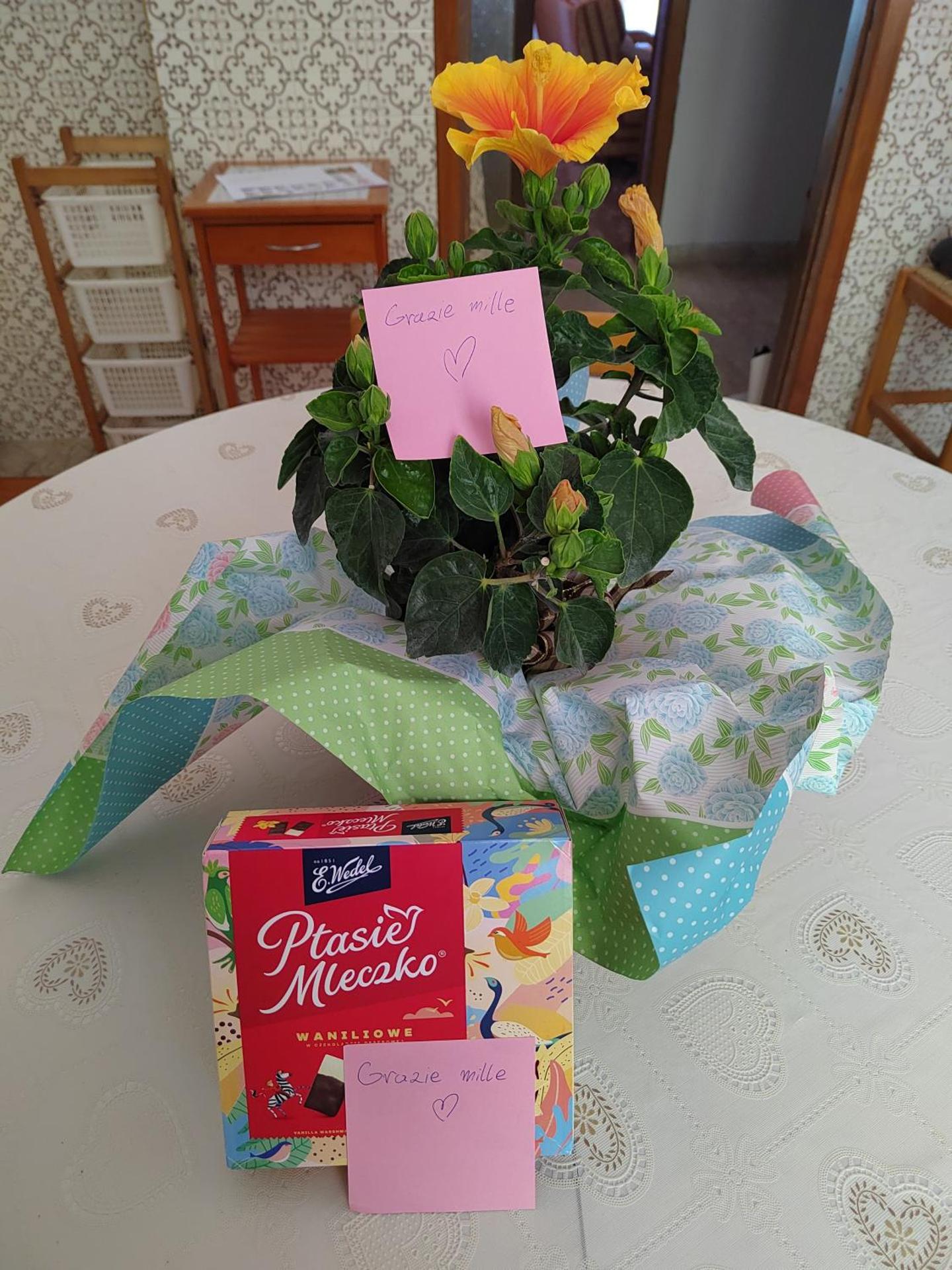 B&B La Finestra Sul Mare