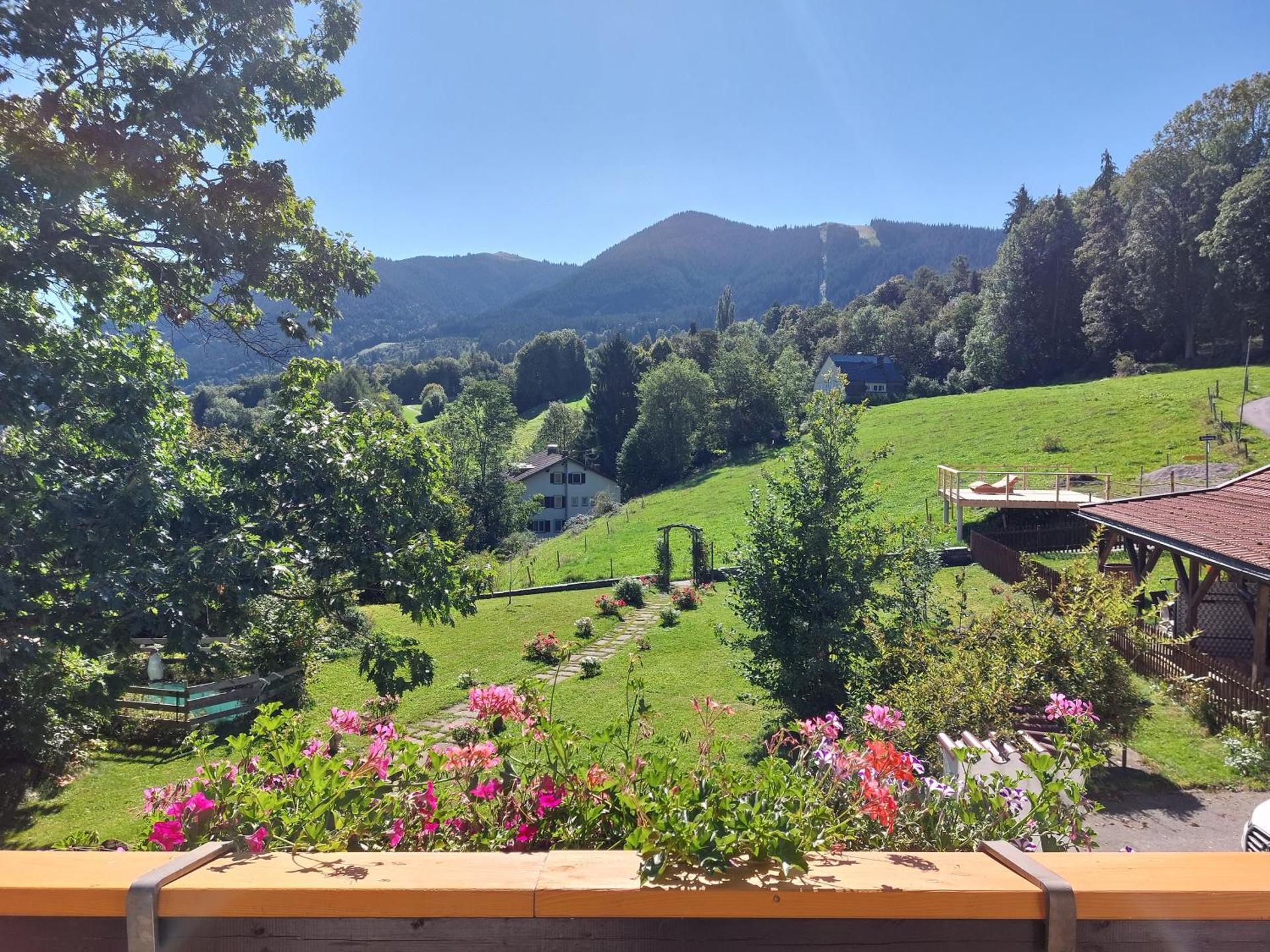 View (from property/room)