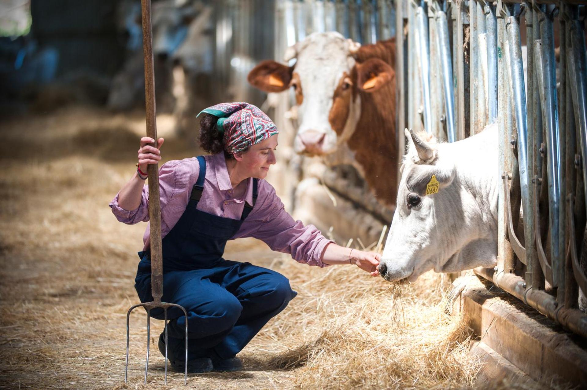 appartamento Colticciola Agriturismo Marche