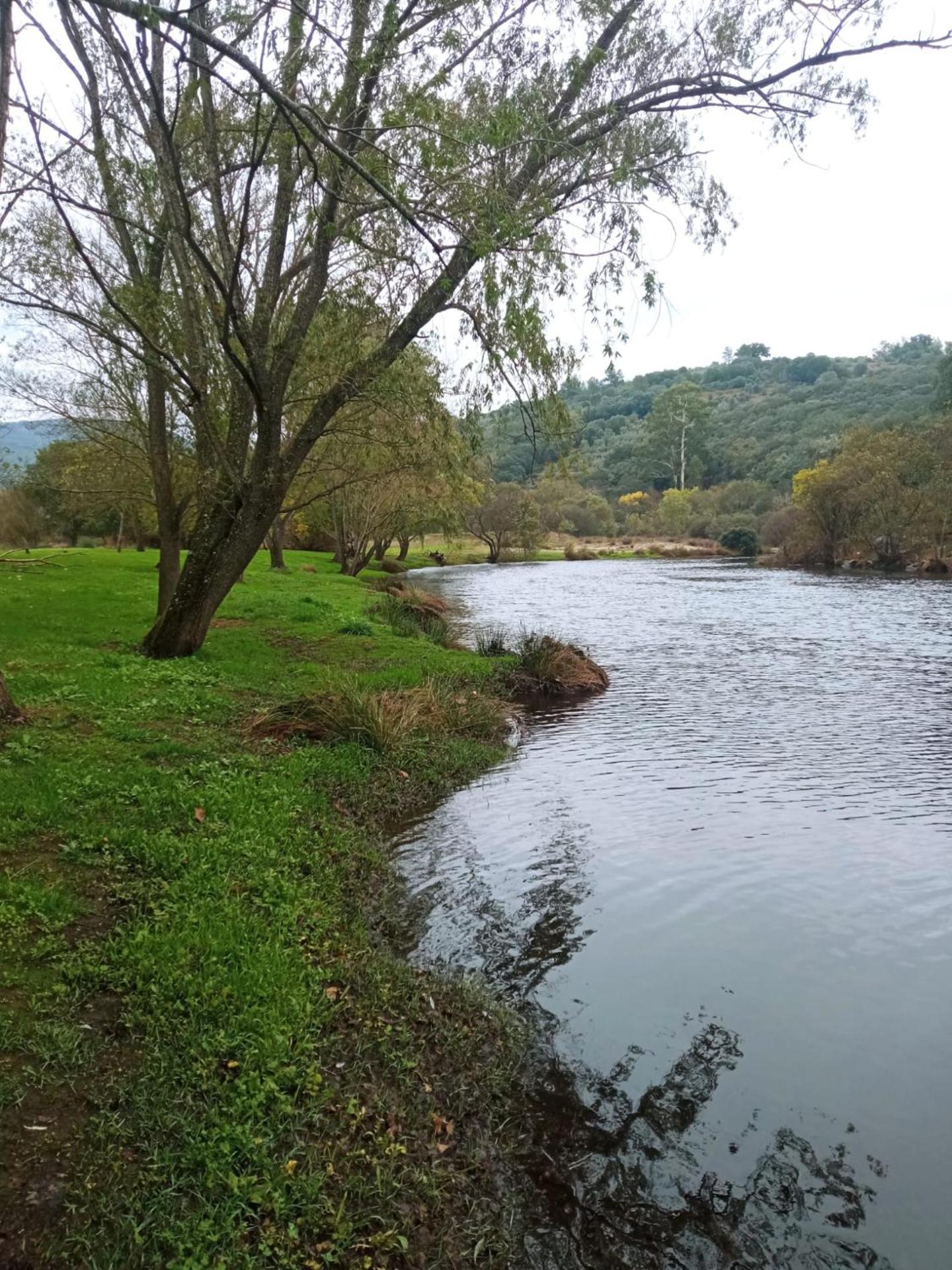 Bungalows, Camping Vega de Francia