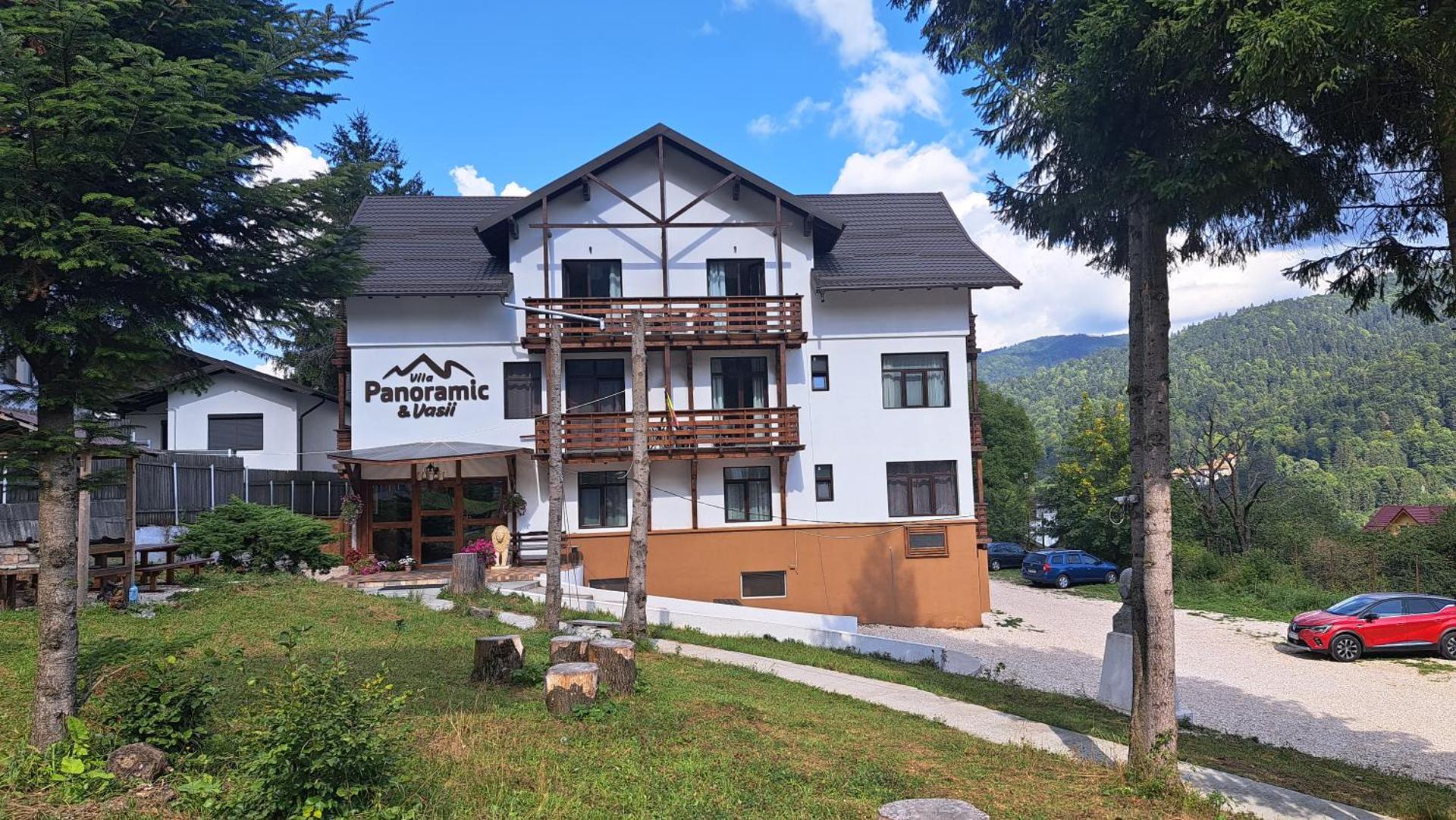 Vila PANORAMIC Busteni