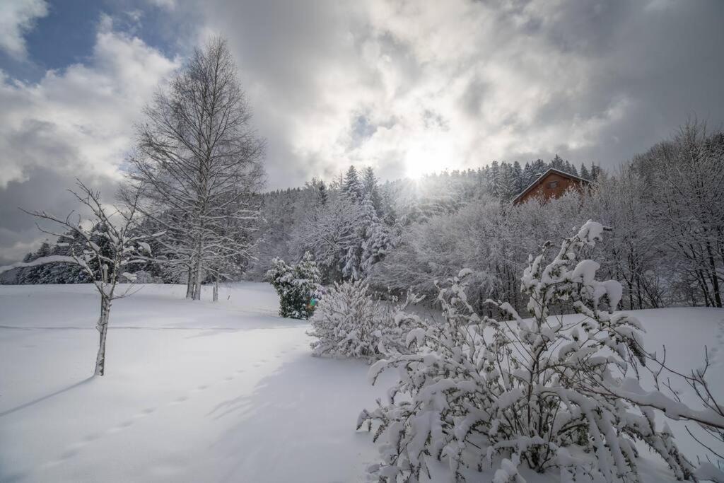 Les Griottes, véritable chalet de montagne, avec Jacuzzi et Sauna