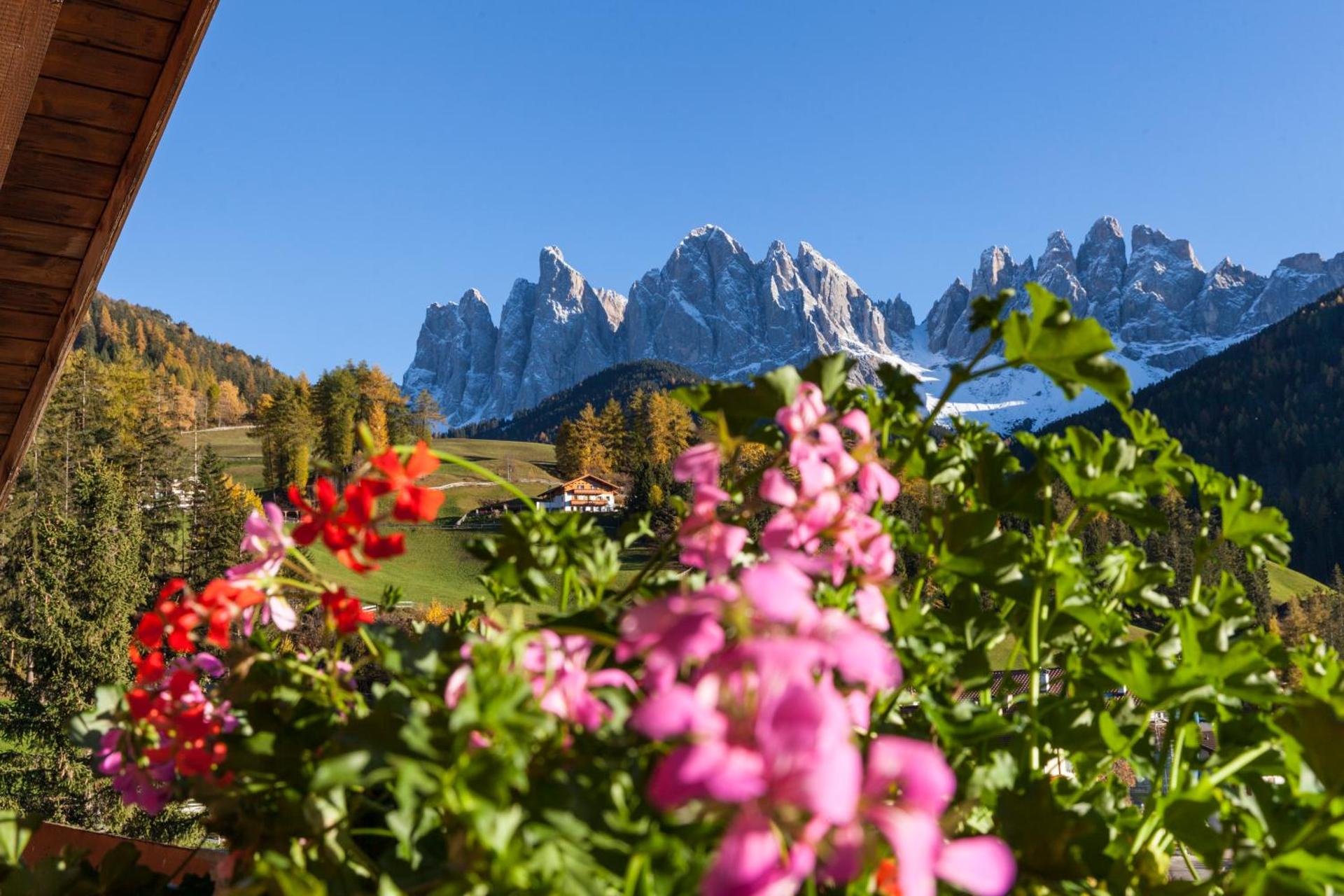 View (from property/room)