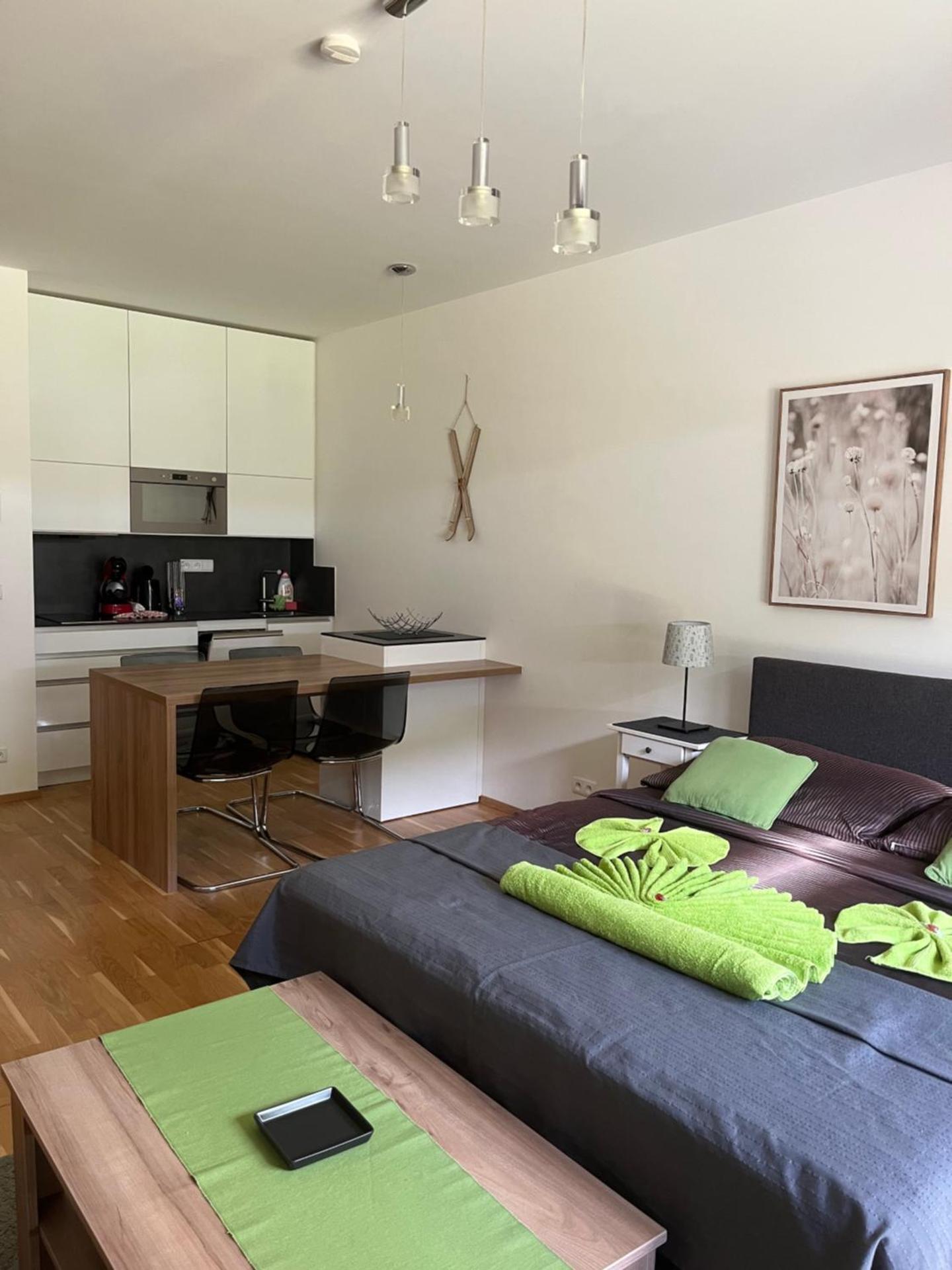 Apartmán Špindlerův Mlýn