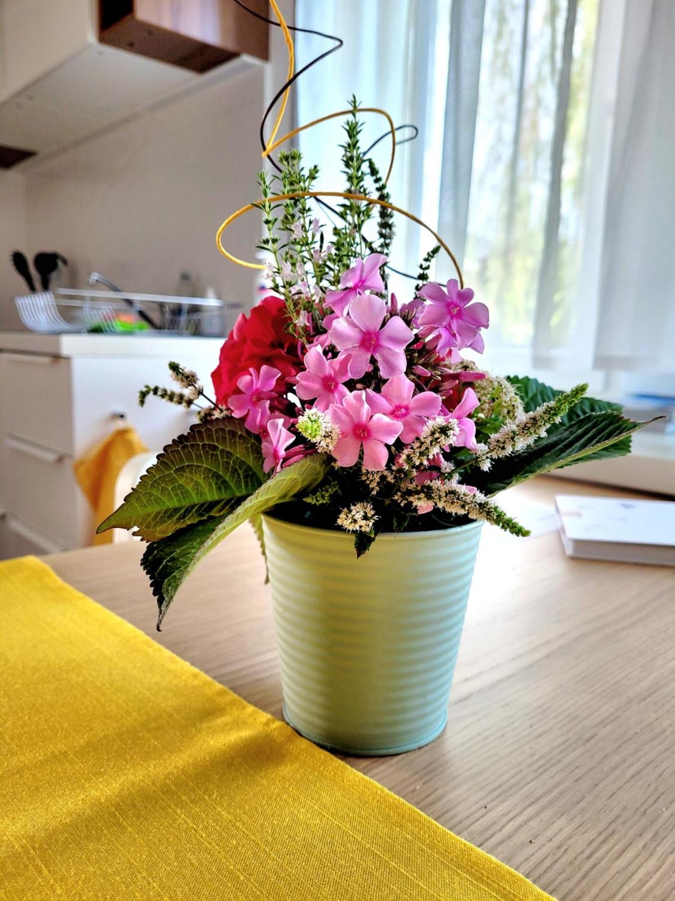 Apartment Sonnenschein