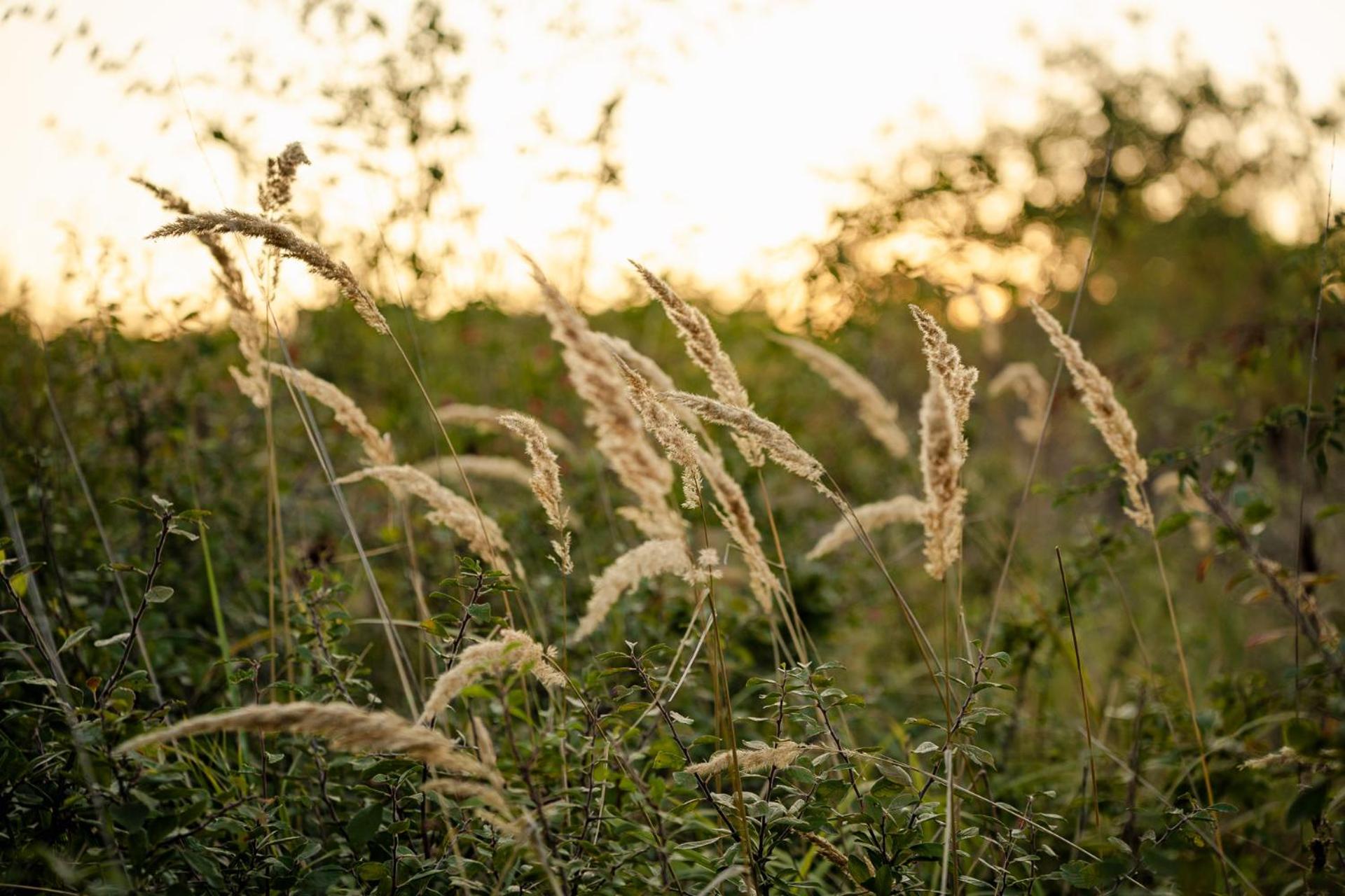 Kotyogó Apartmanok, Bogács