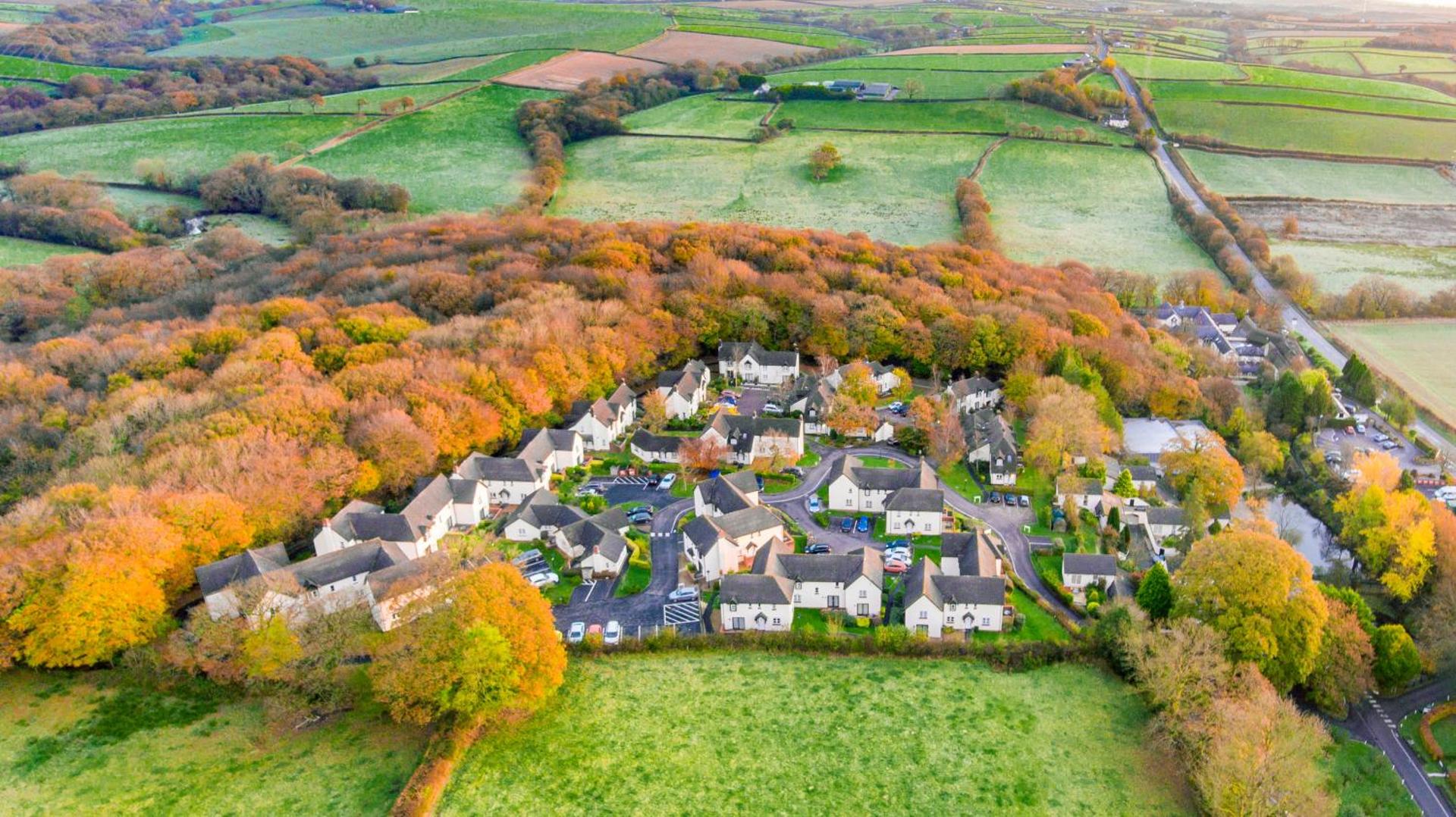 View (from property/room)