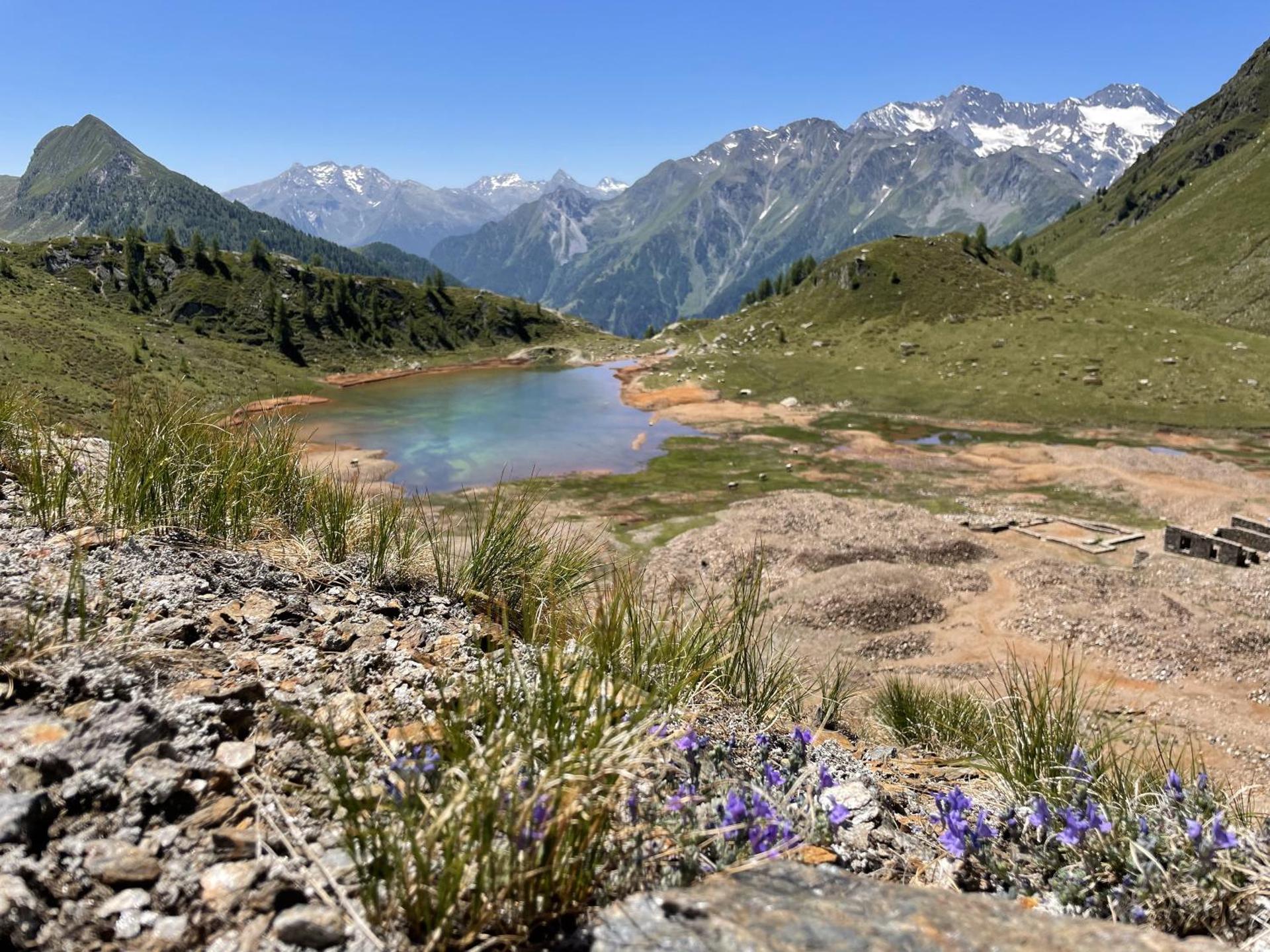 Apartment Sankt Martin