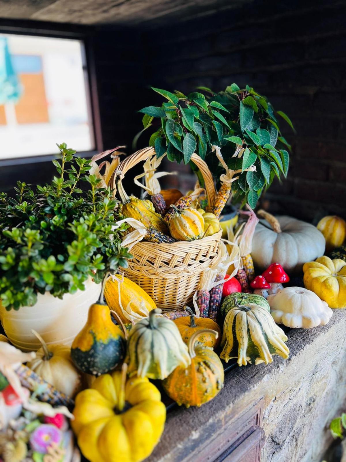 Nagy-Homoród Étterem és Panzió