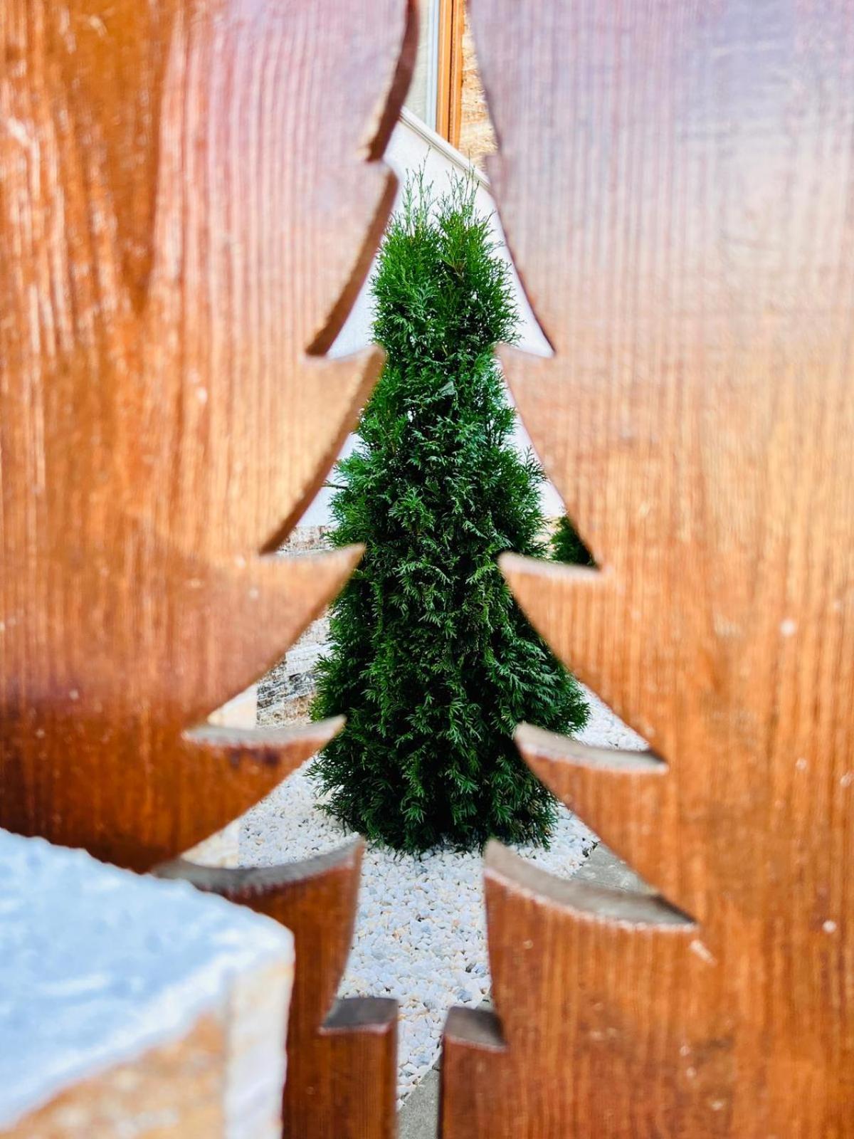 Nagy-Homoród Étterem és Panzió