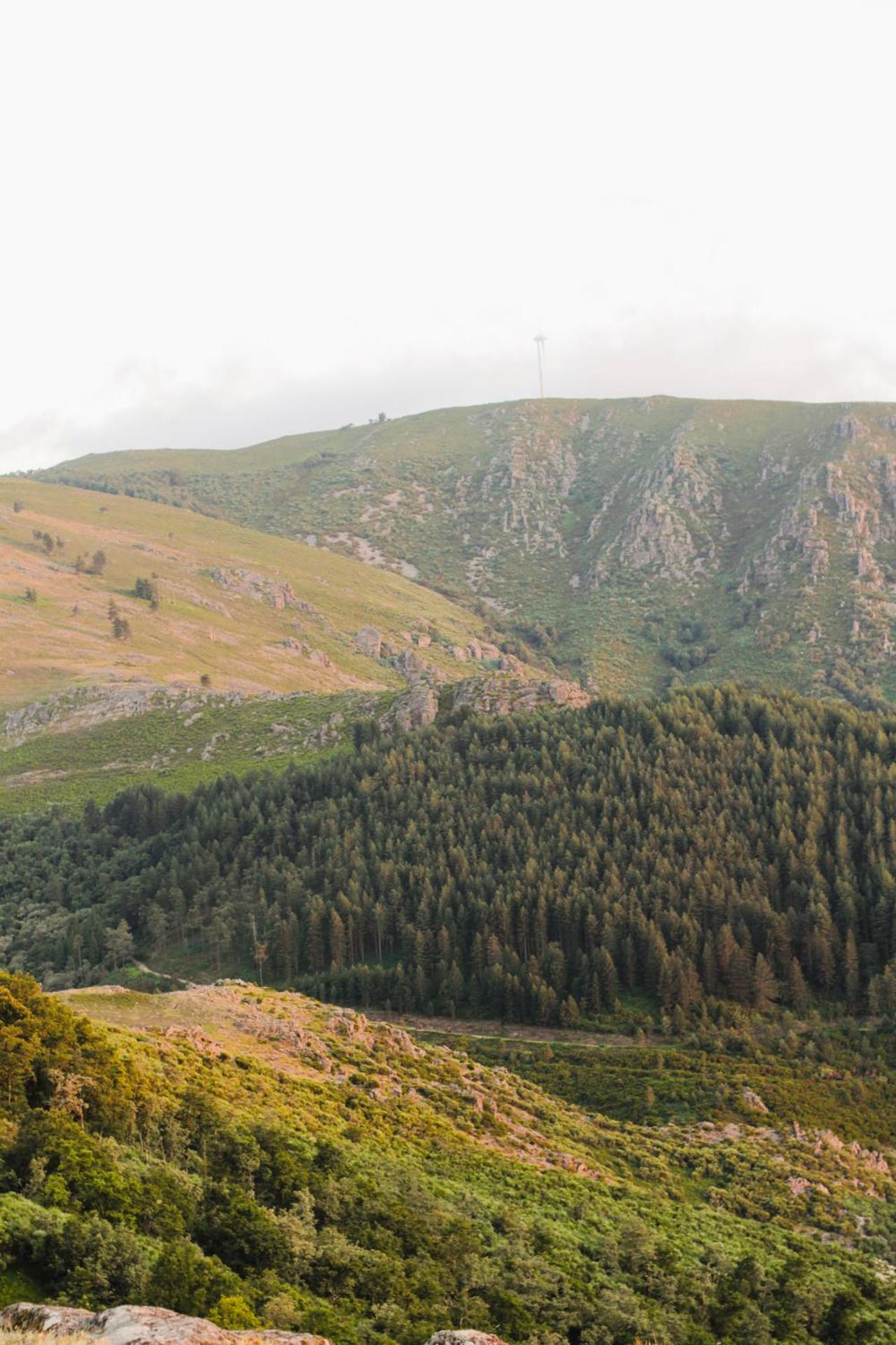 Refúgio das Carquejas