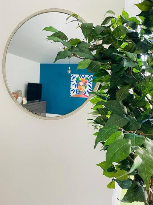 Stunning huge openplan 2Bed flat