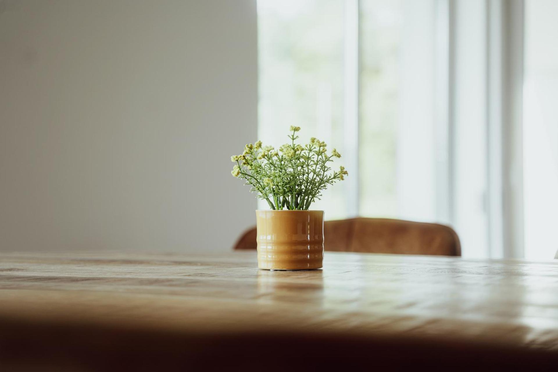 Fitromax Apartmanház