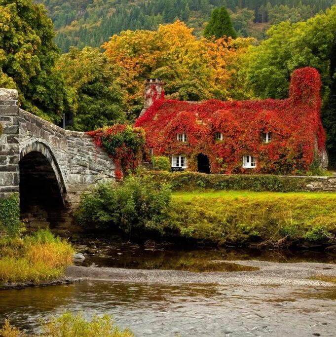 Cosy Cottage, Nr Betws y Coed.