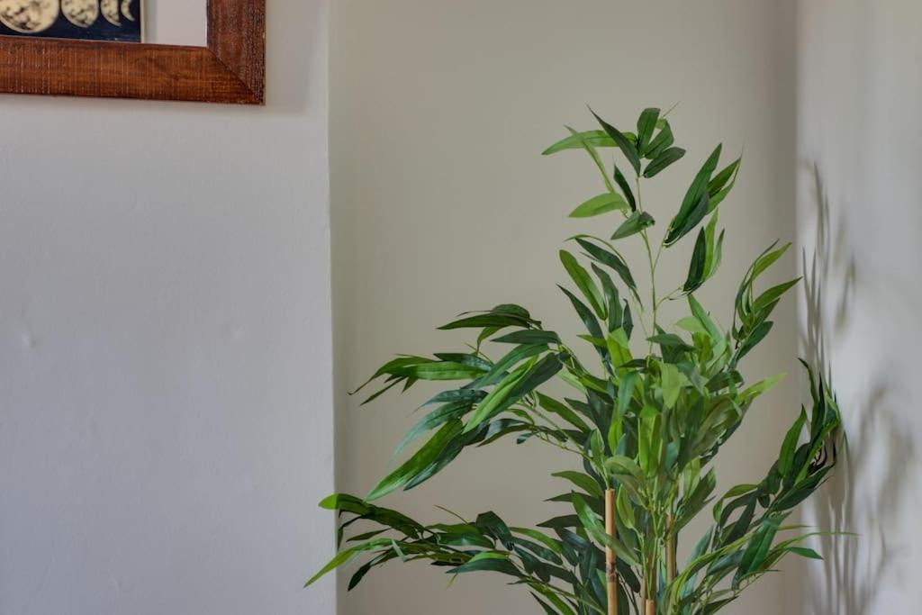 Roman Cottage Chelmsford