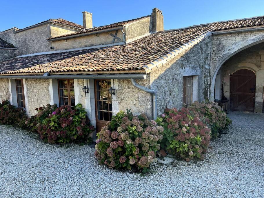 appartement Terra Cotta