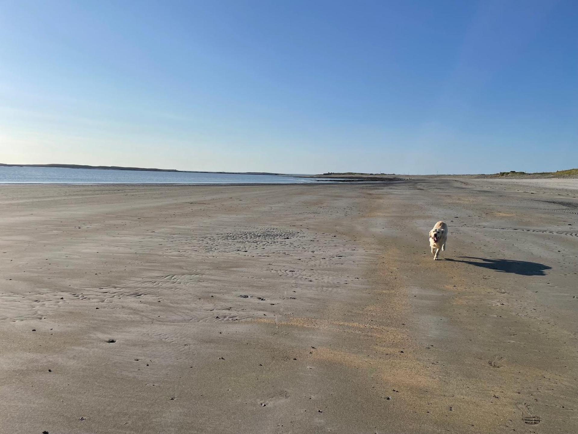 Seafield House at the beach