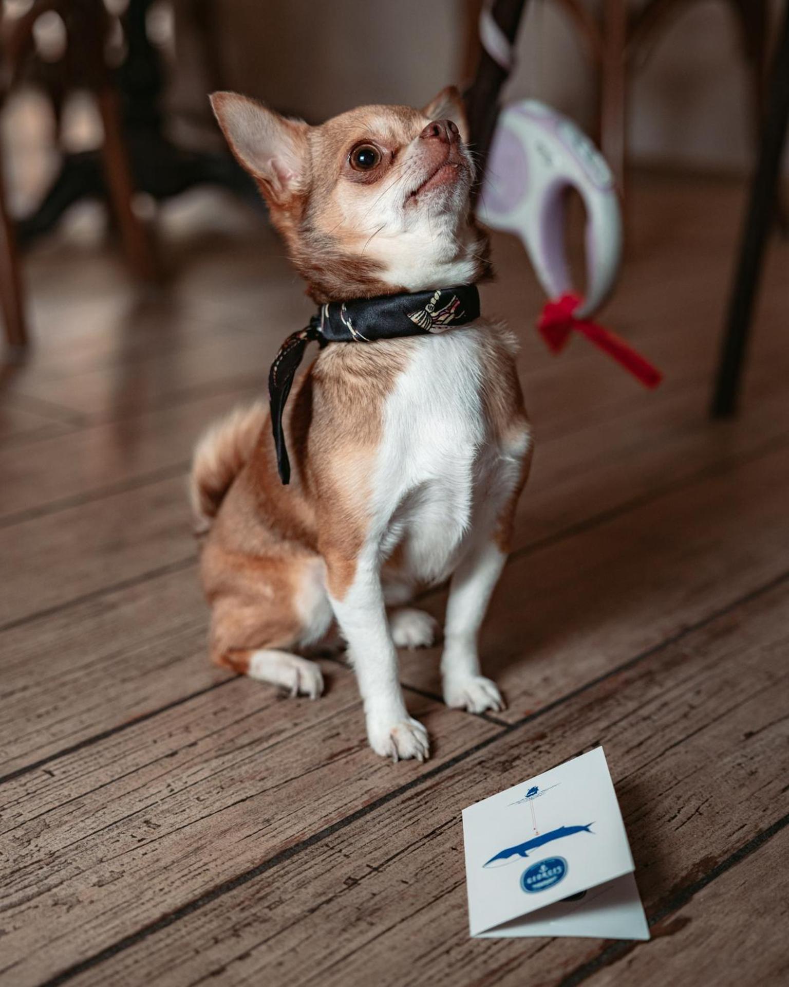 Georges Hostel & Café