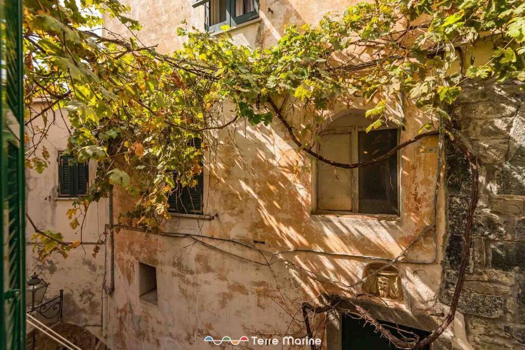 Il Profumo del Mosto, Terre Marine