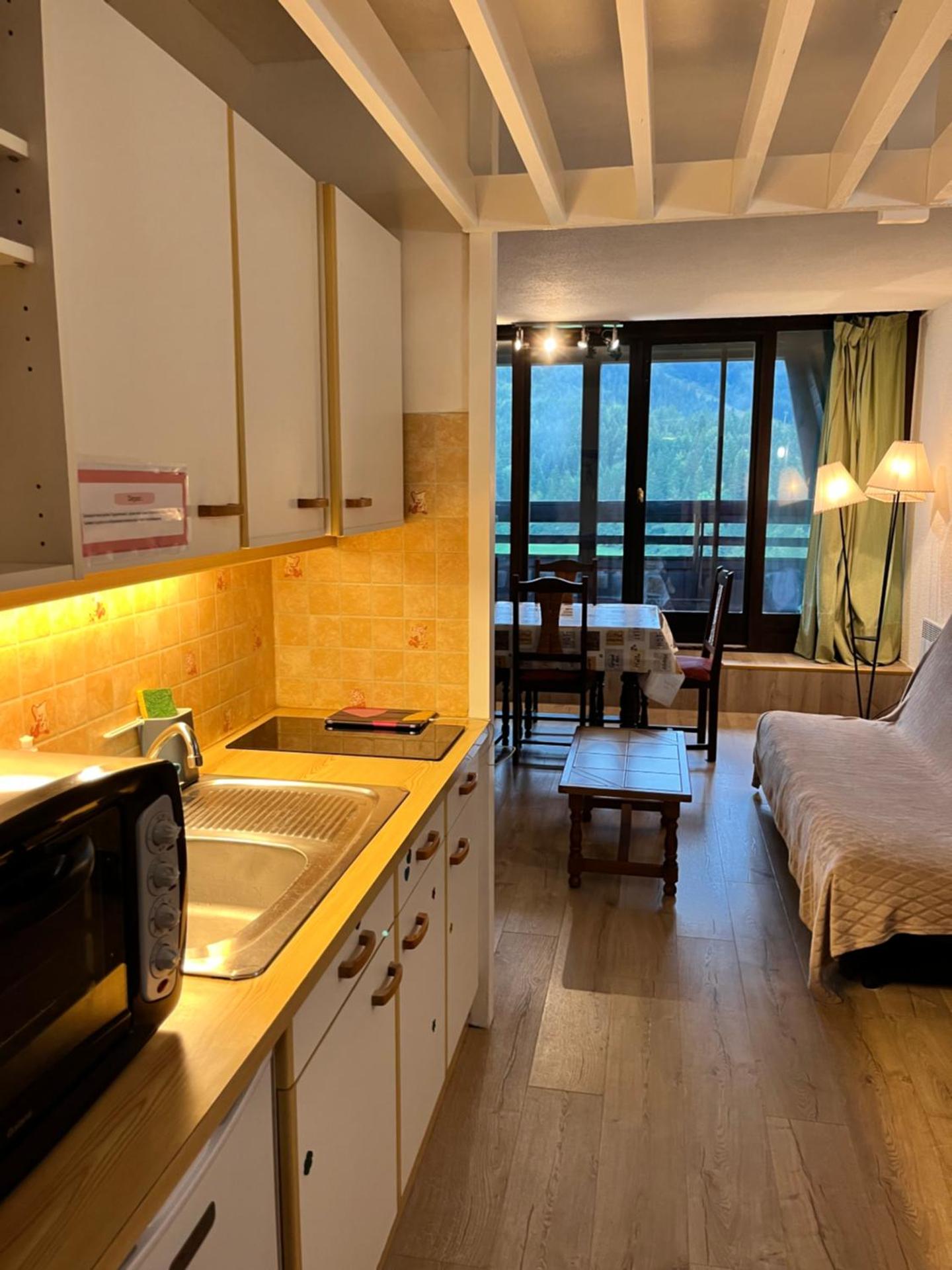 Grand Studio VILLARD DE LANS Les Glovettes