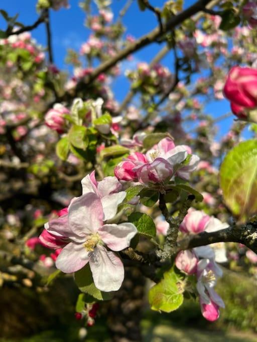 Schöne helle DG Wohnung in der Altstadt Schwerin
