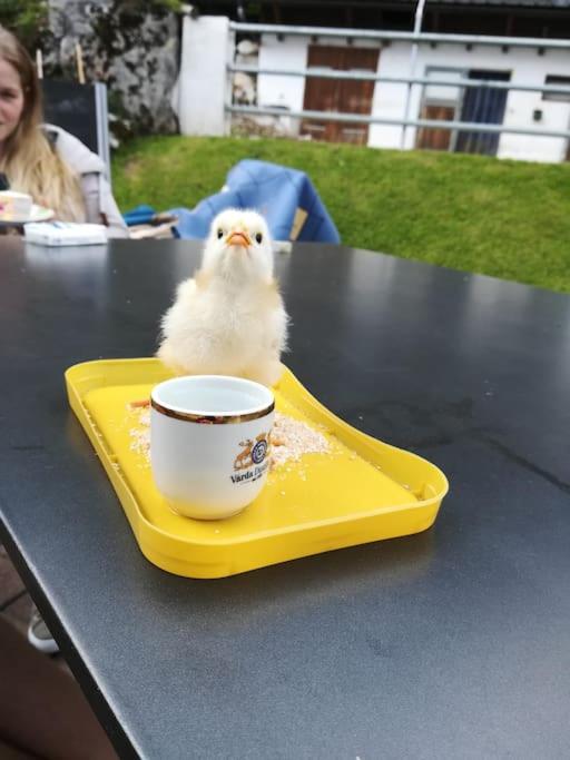 Ferienwohnung Ingrid