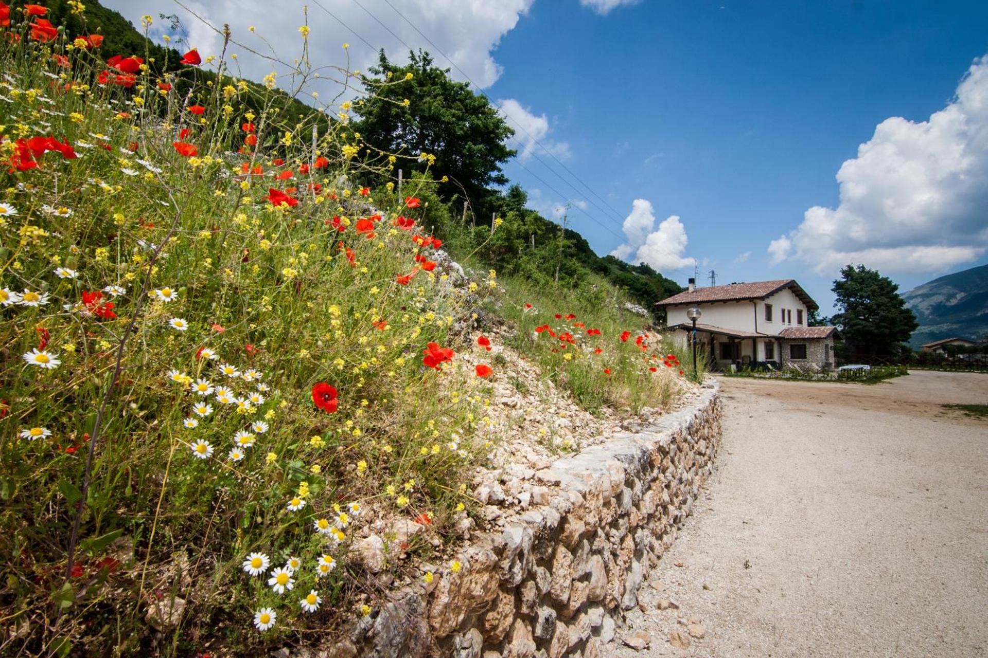 Al Peschio Pizzuto Agriturismo
