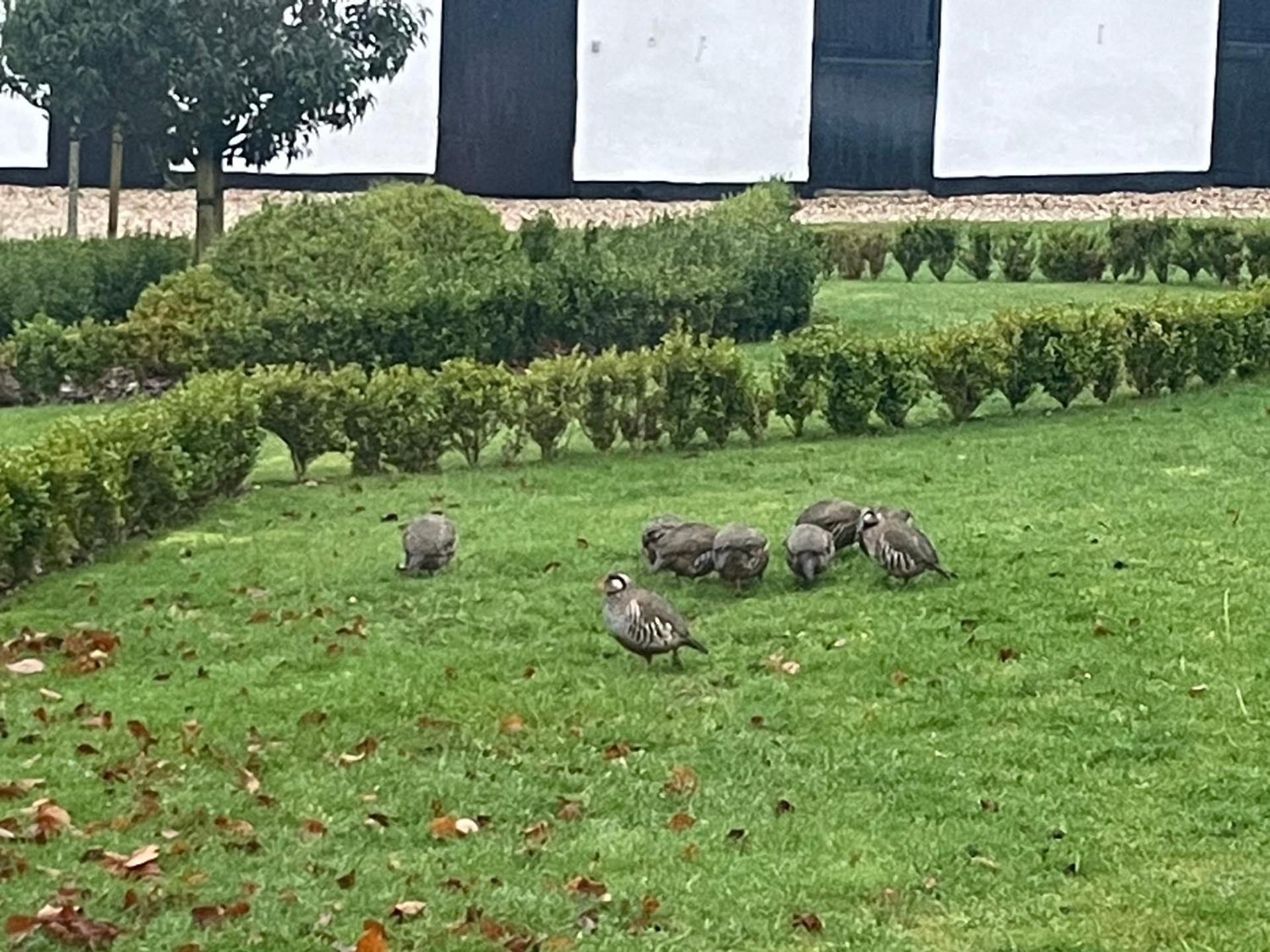 Winstitchen Cottage situated near the River Barle