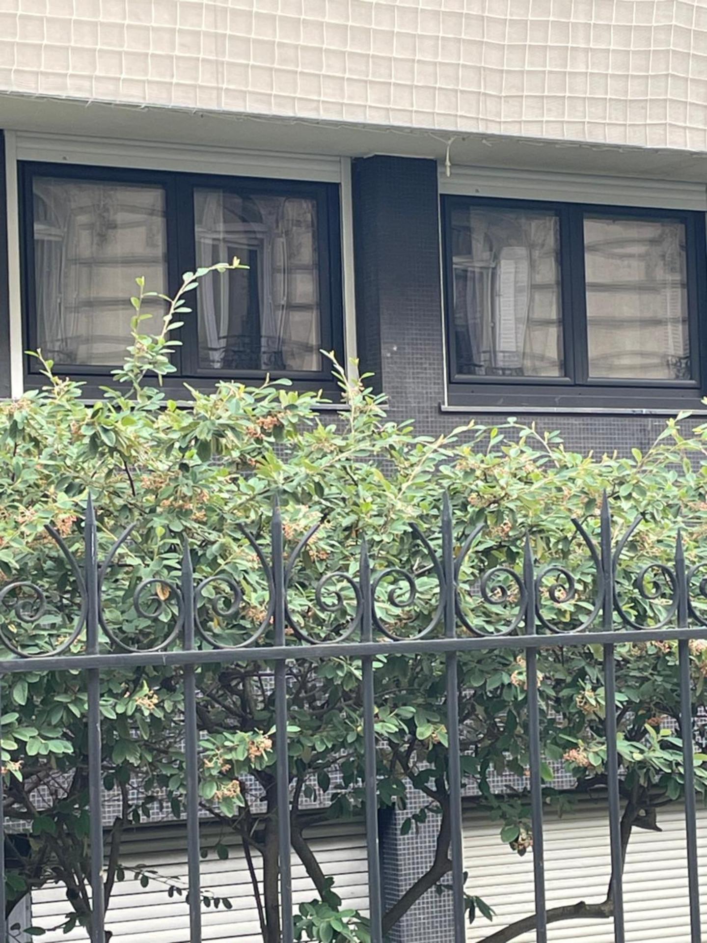 Cosy Studio paris 16 Victor Hugo