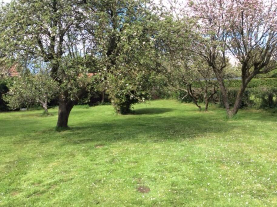 Country Studio Apartment