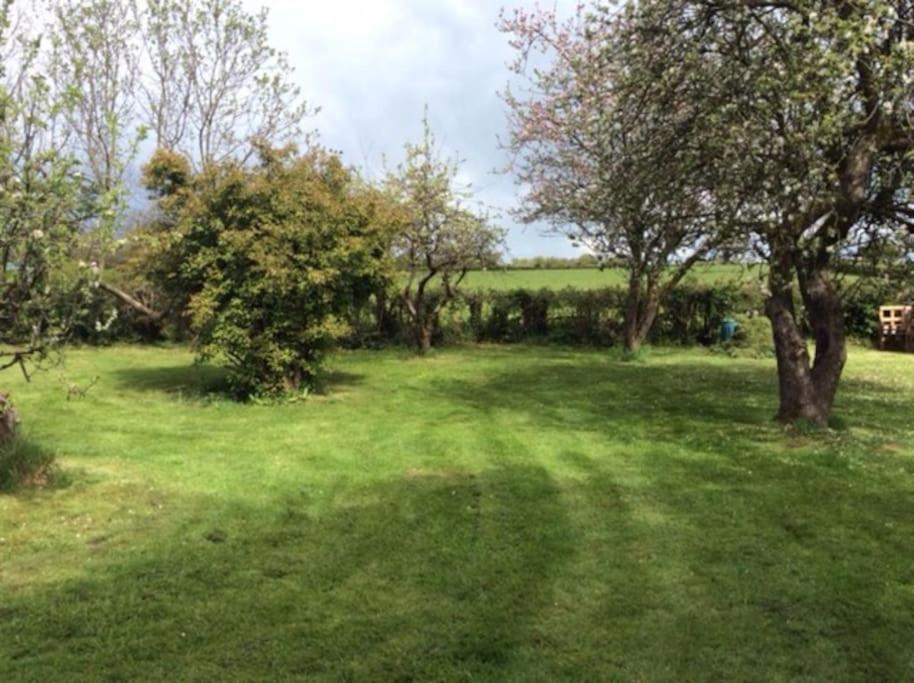 Country Studio Apartment