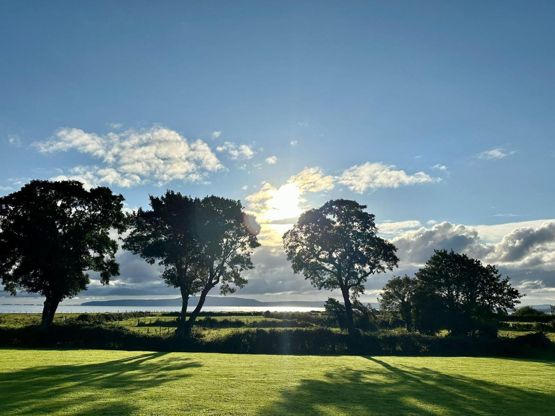 Cherrytree House B&B