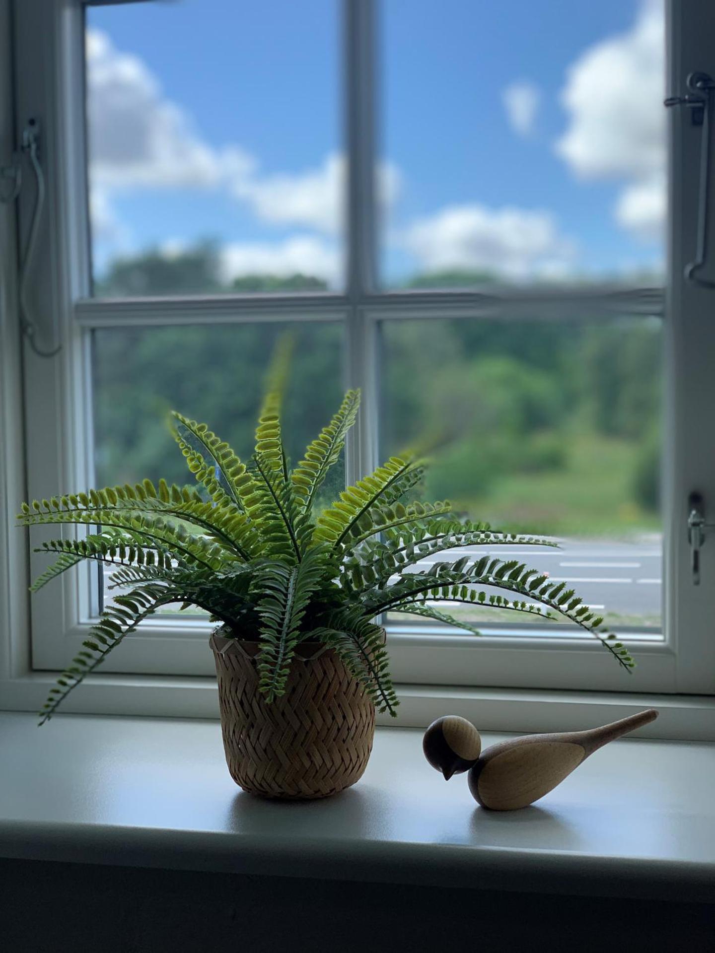 Svalereden Strand Camping Rooms