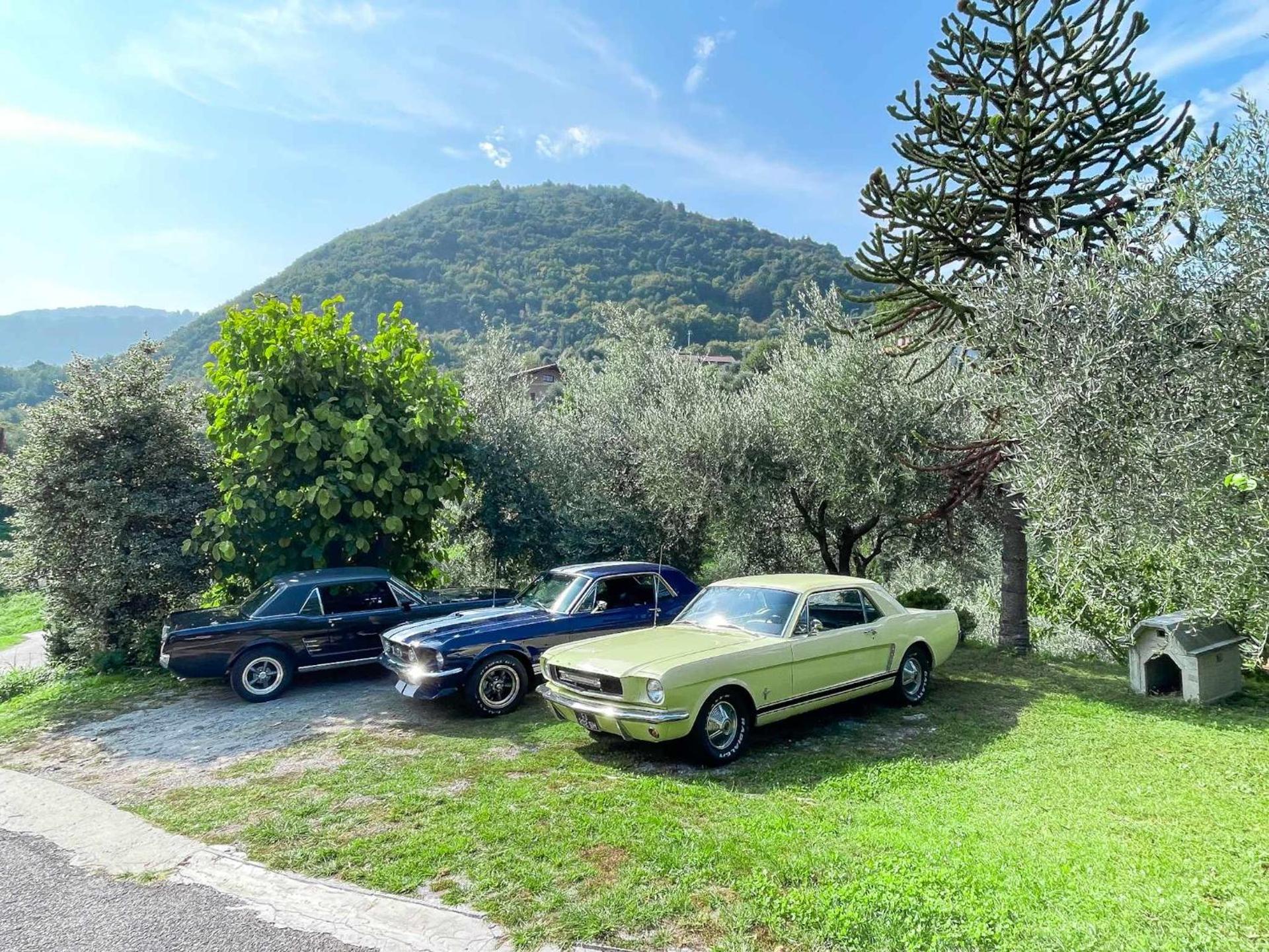 Breva, Loft tra gli ulivi ed il lago